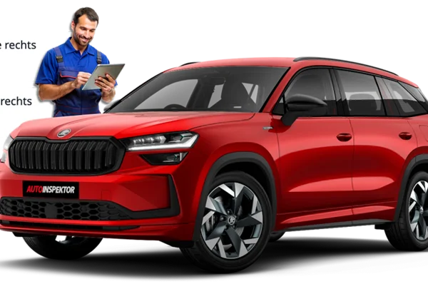 Gebrauchtwagencheck vor Ort