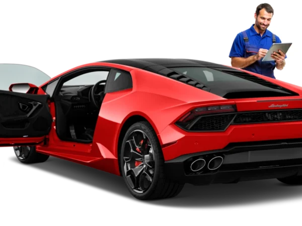 Sportwagen-Check vor Ort